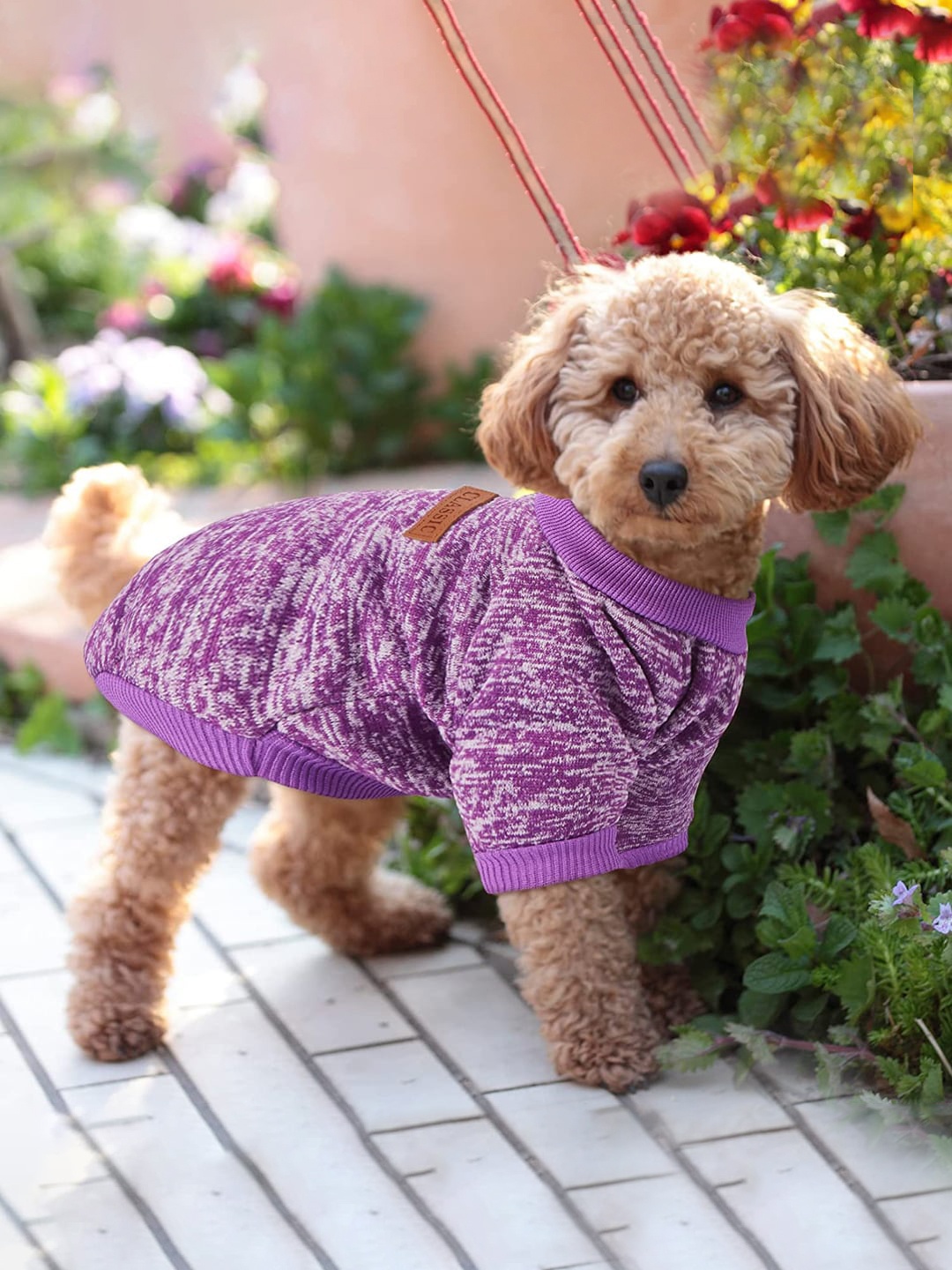 

PAWCHIE Purple & White Printed Dog Sweater