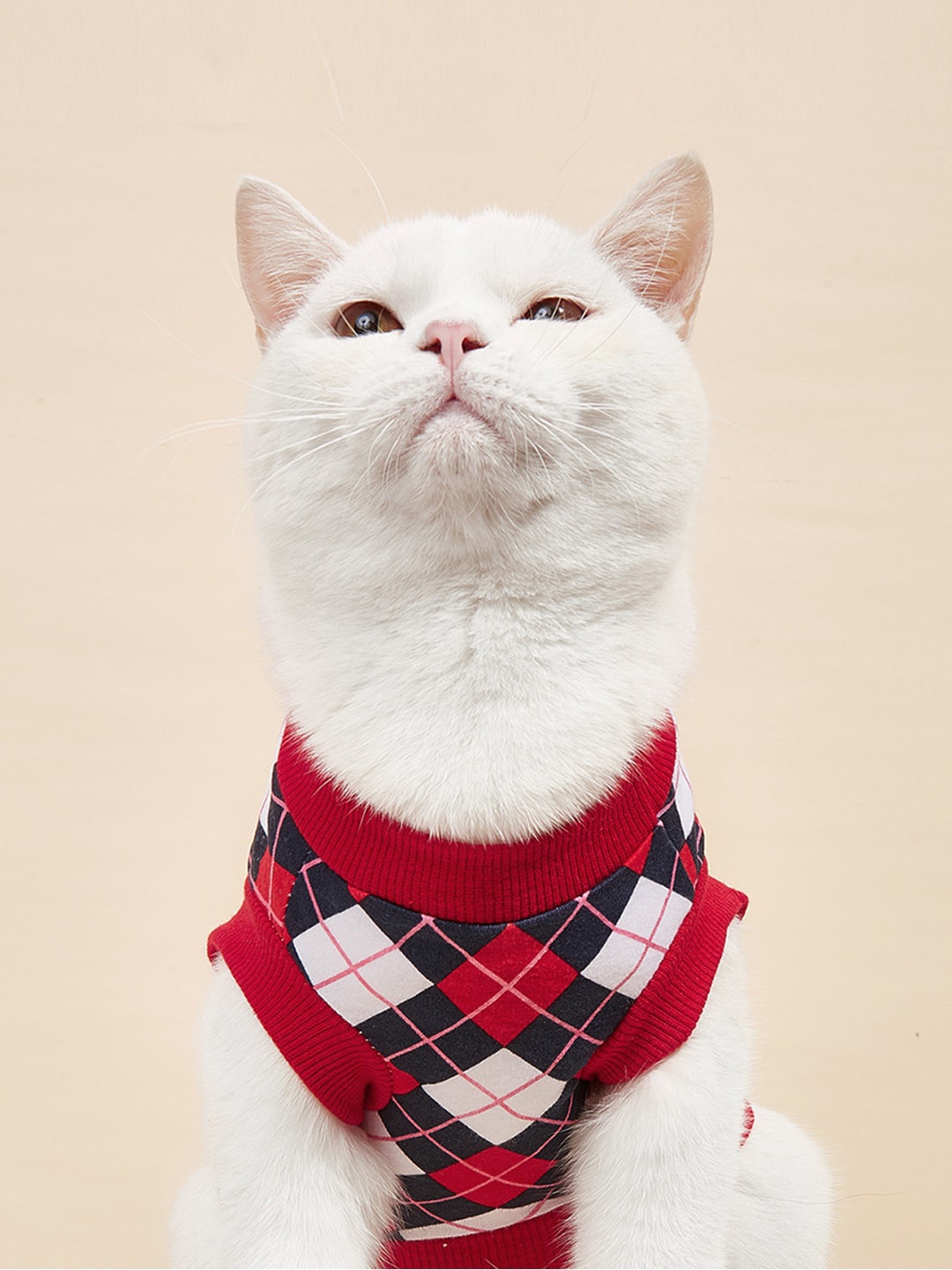 

PAWCHIE Red & Black Printed Cotton Dog T-shirts