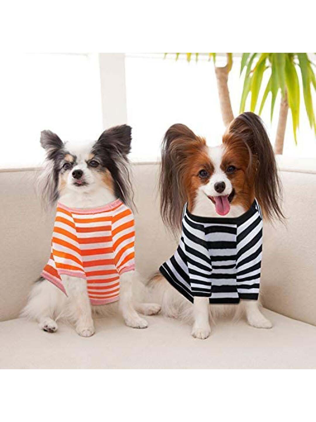 

PAWCHIE Orange & Blue Striped Cotton Dog Tshirt