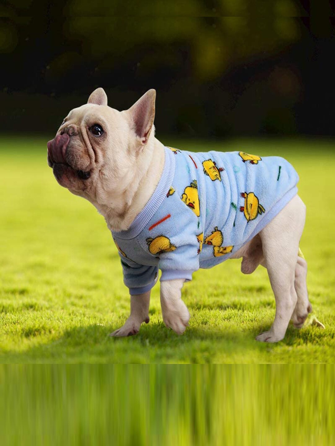 

PAWCHIE Blue & Yellow Printed Dog T-shirts