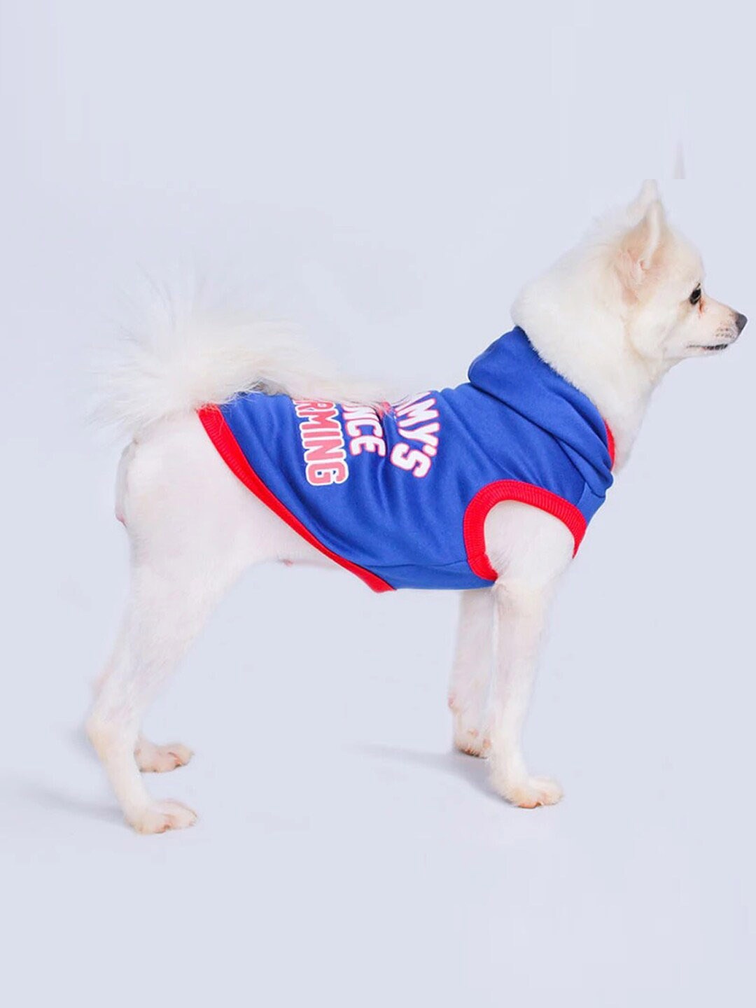 

PAWCHIE Blue Printed Dog T-shirt