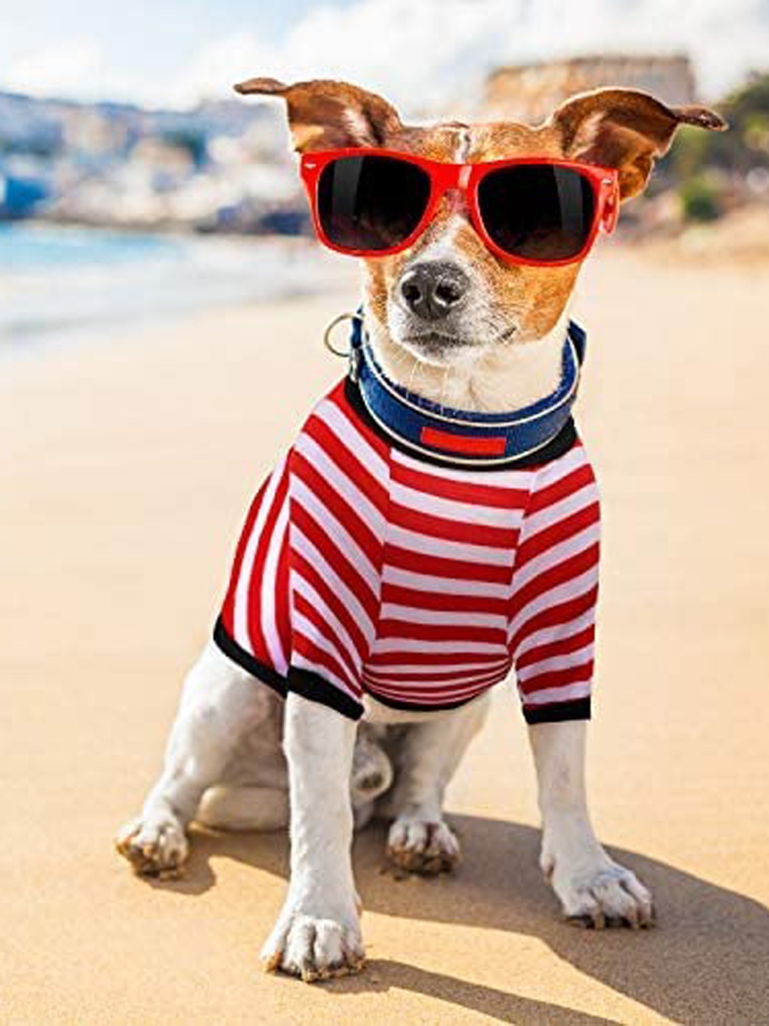 

PAWCHIE Red & White Striped Cotton Dog T-shirts