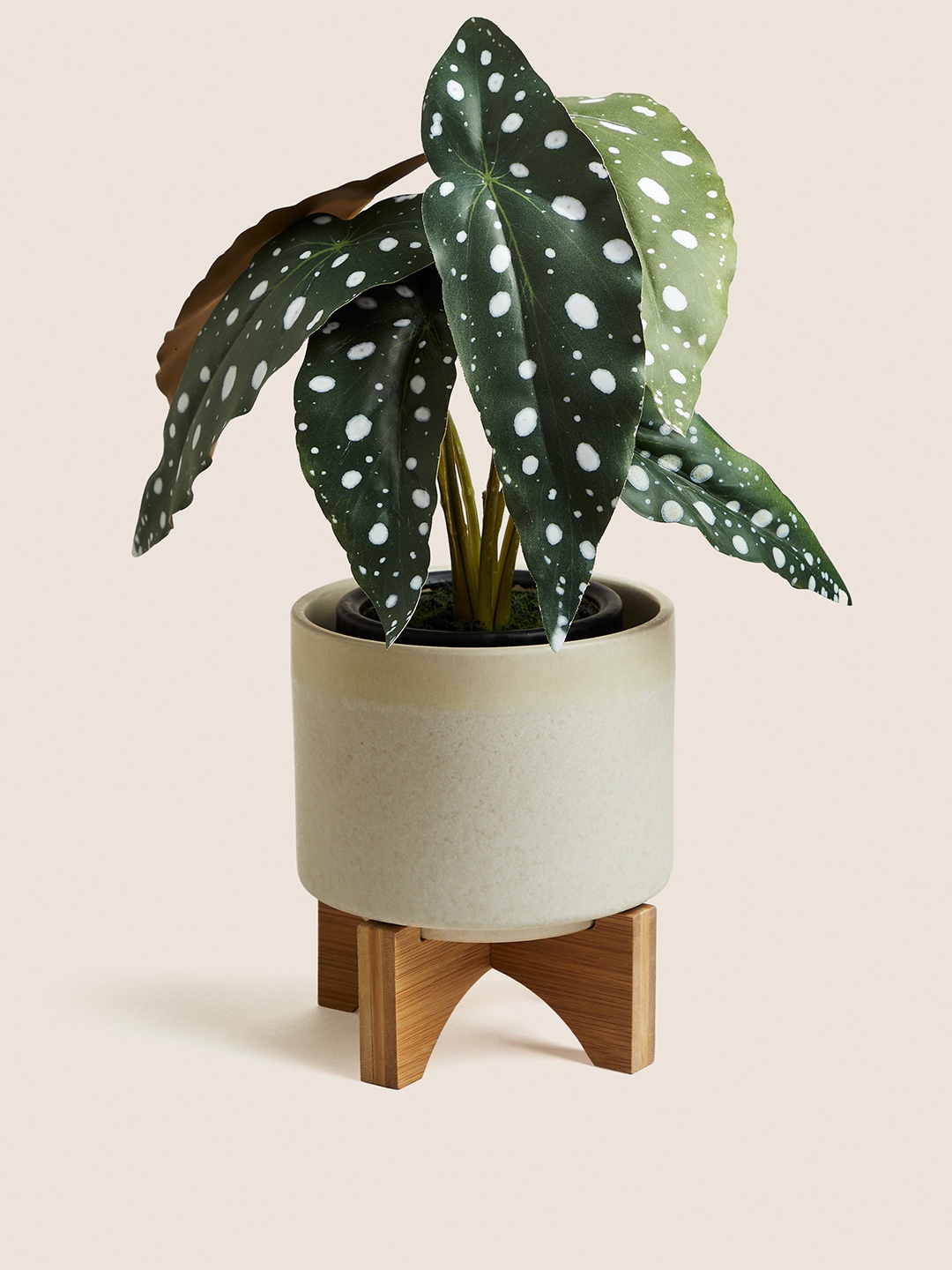 

Marks & Spencer Cream-Colored Solid Ceremic Planters