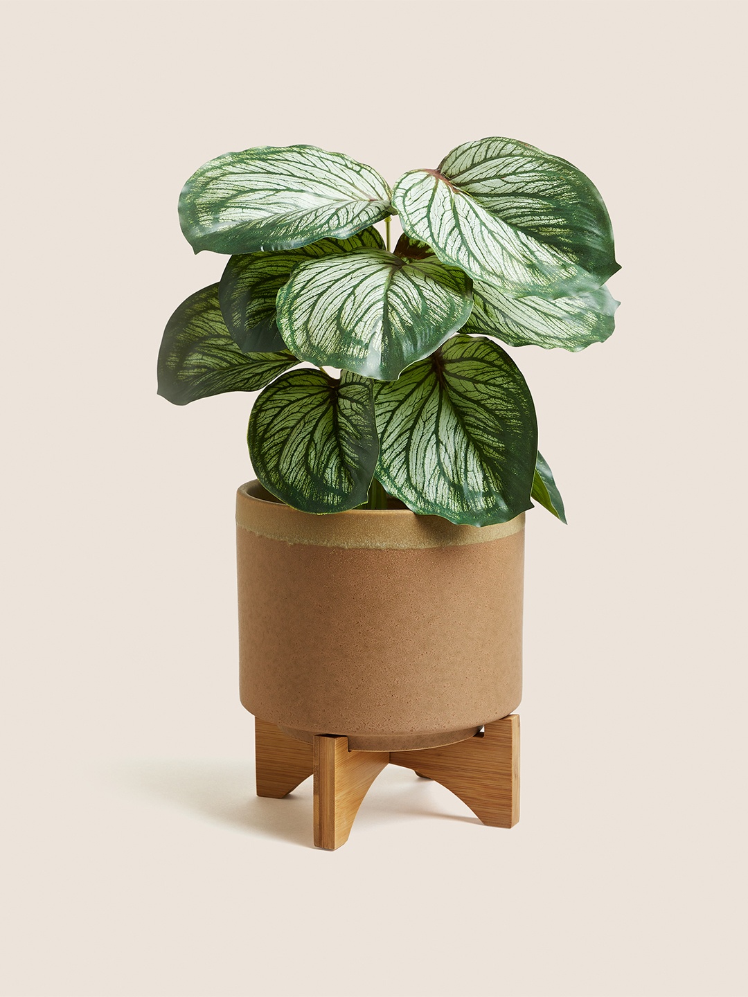 

Marks & Spencer Brown Solid Ceramic Planter