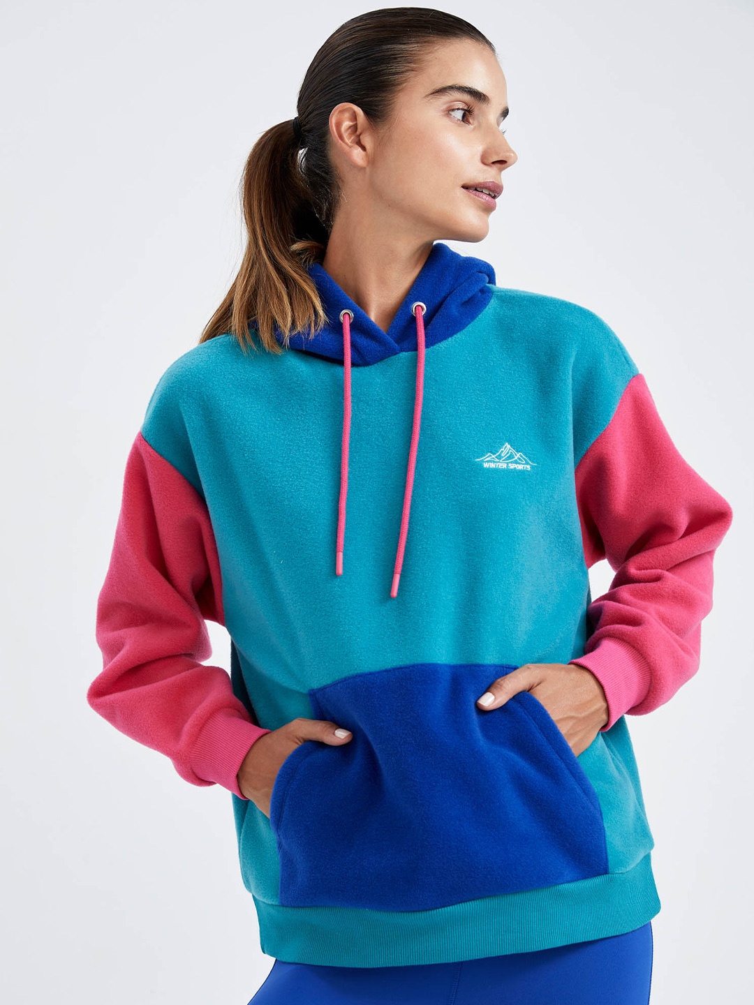 

DeFacto Women Blue & Pink Colourblocked Hooded Sweatshirt
