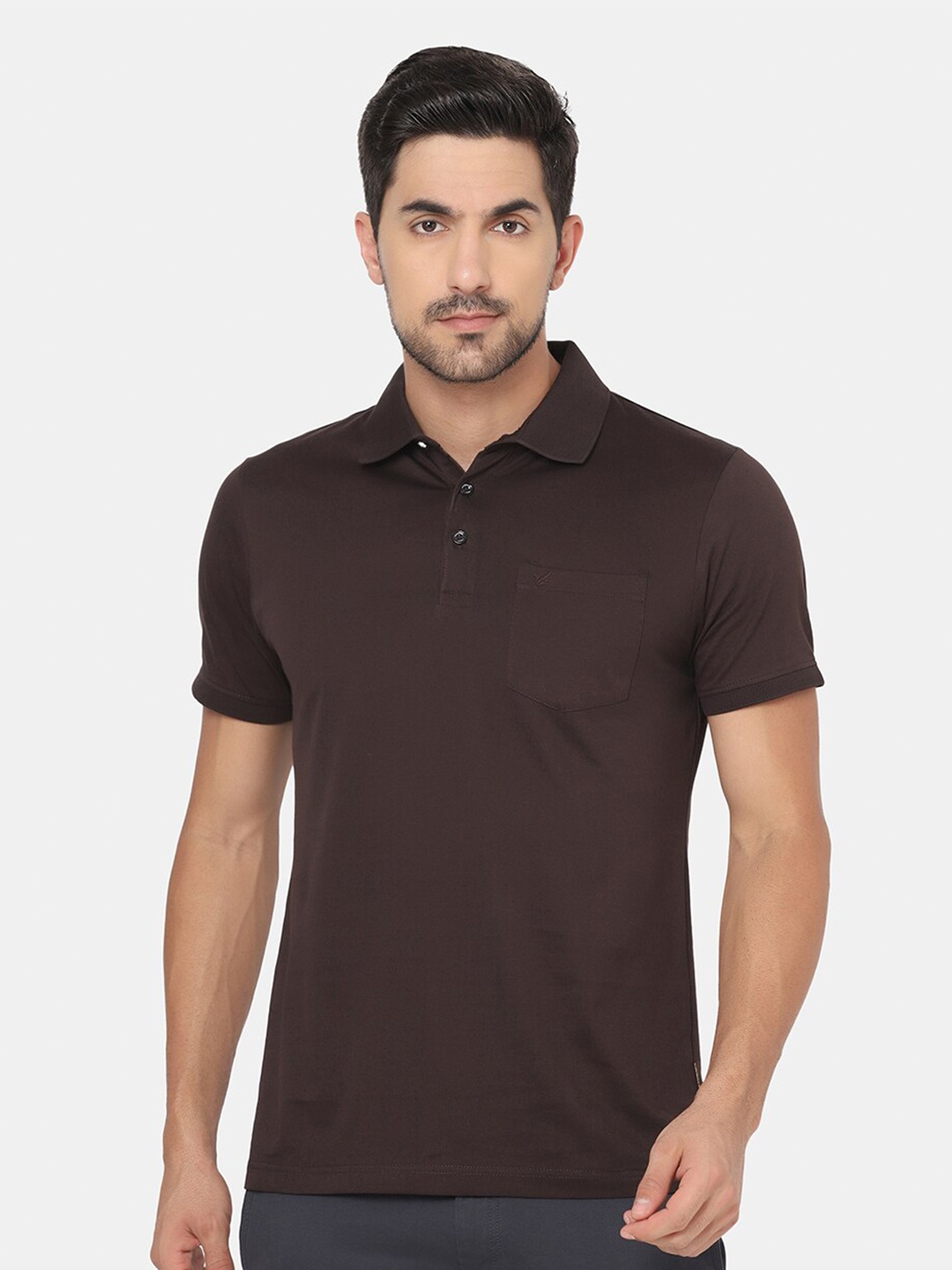 

Blackberrys Men Brown Polo Collar Slim Fit Cotton T-shirt