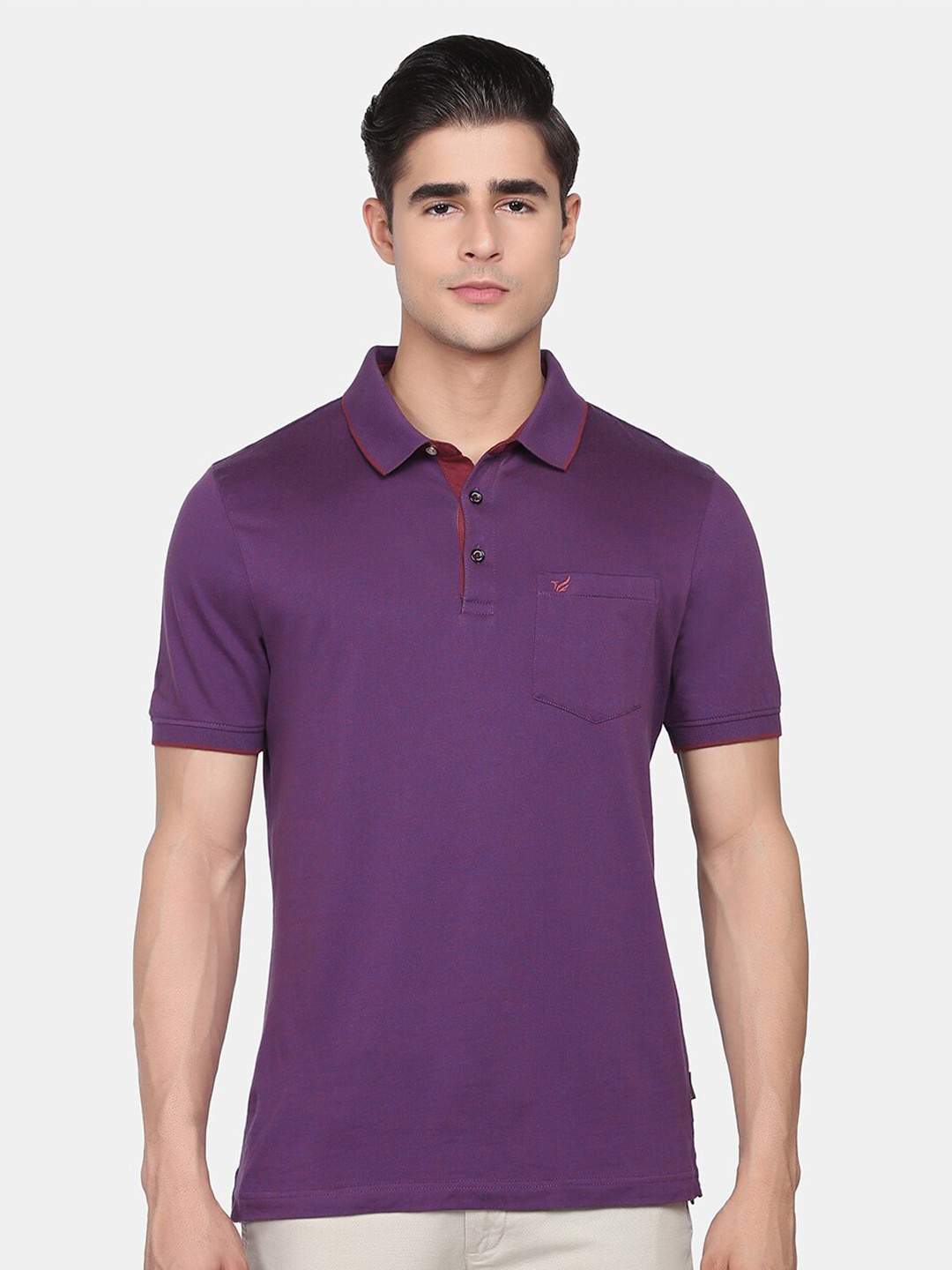 

Blackberrys Men Purple Polo Collar Slim Fit T-shirt