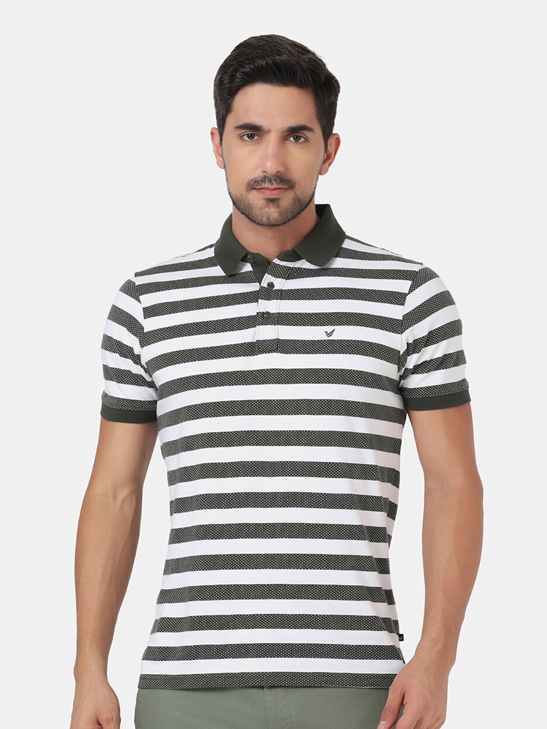 

Blackberrys Men Olive Green & White Striped Polo Collar Slim Fit Pure Cotton T-shirt