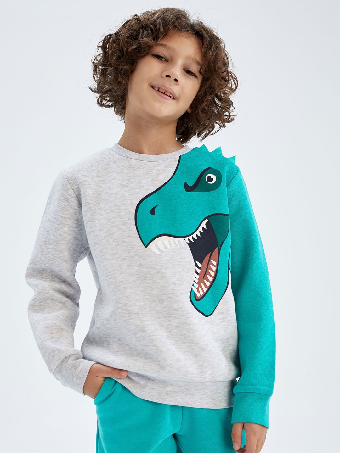 

DeFacto Boys Grey & Blue Printed Sweatshirt