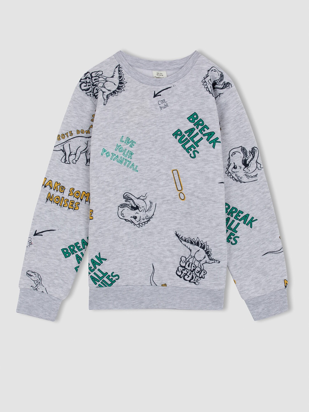 

DeFacto Boys Grey Printed Sweatshirt