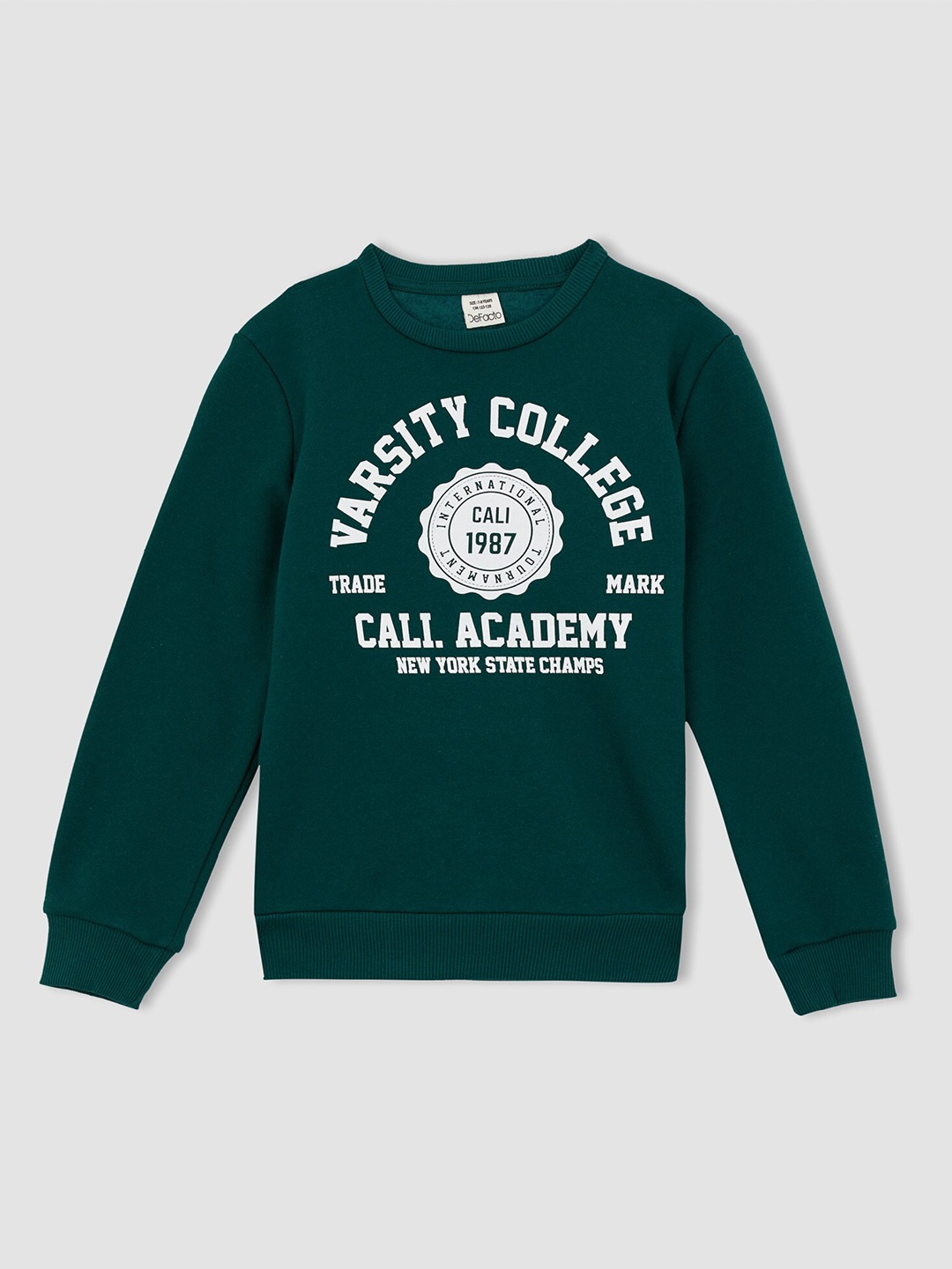 

DeFacto Boys Green Printed Sweatshirt