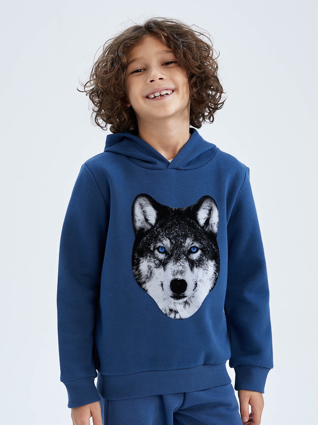 

DeFacto Boys Blue Printed Hooded Sweatshirt