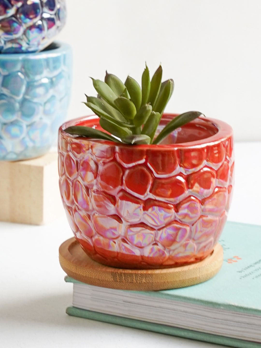 

Nestasia Red Textured Ceramic Planter