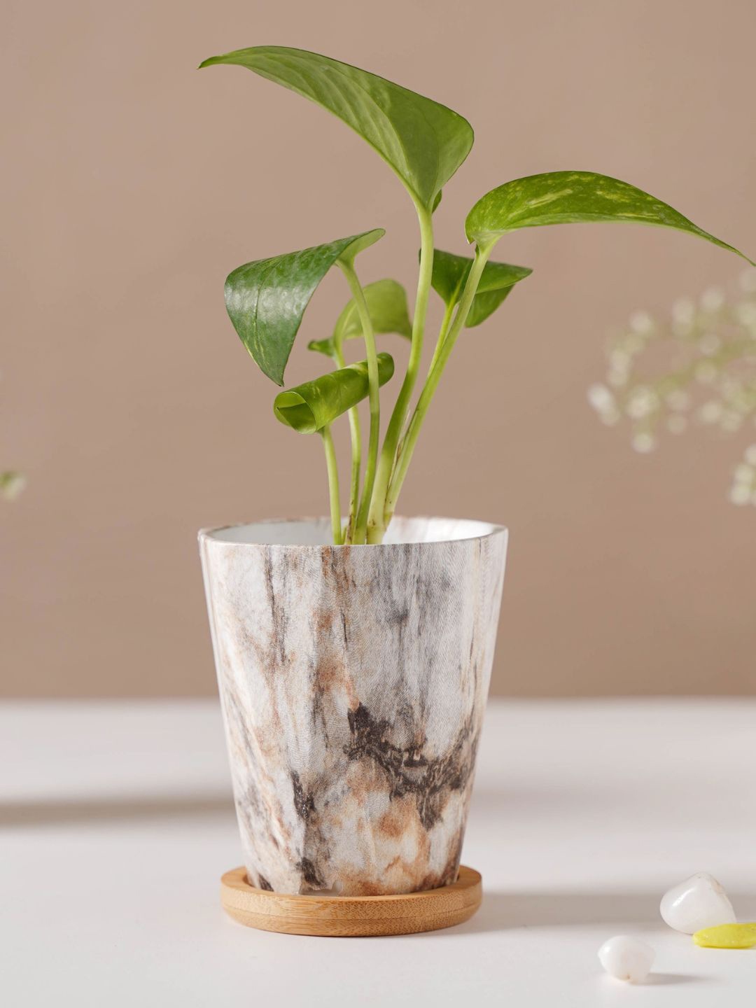 

Nestasia White & Brown Limestone Planter With Coaster