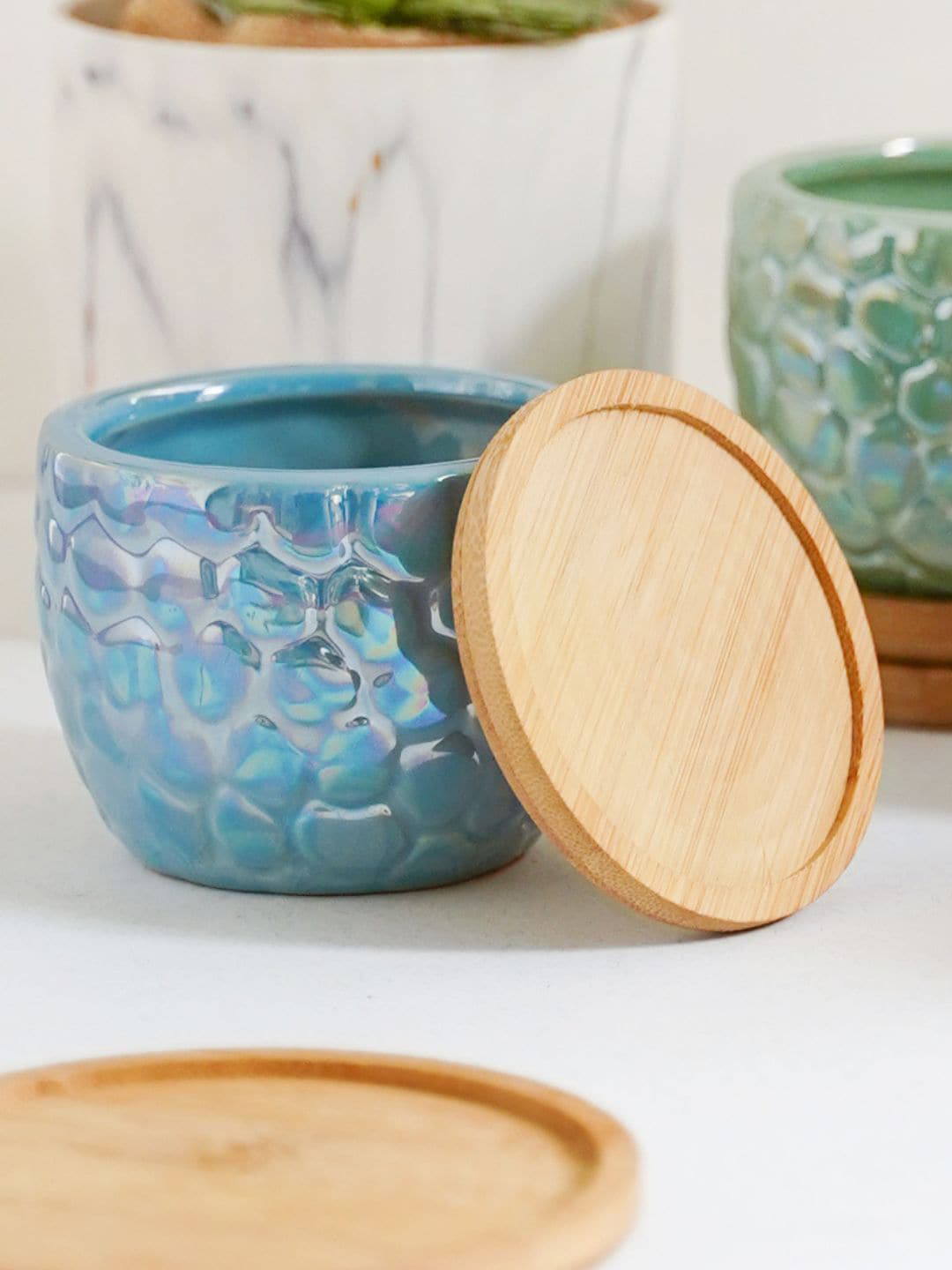 

Nestasia Blue Textured Ceramic Succulent Pot