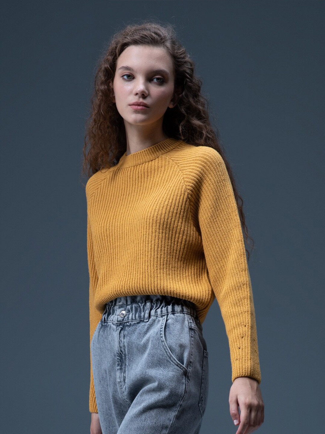 

DeFacto Women Yellow Ribbed Crop Pullover
