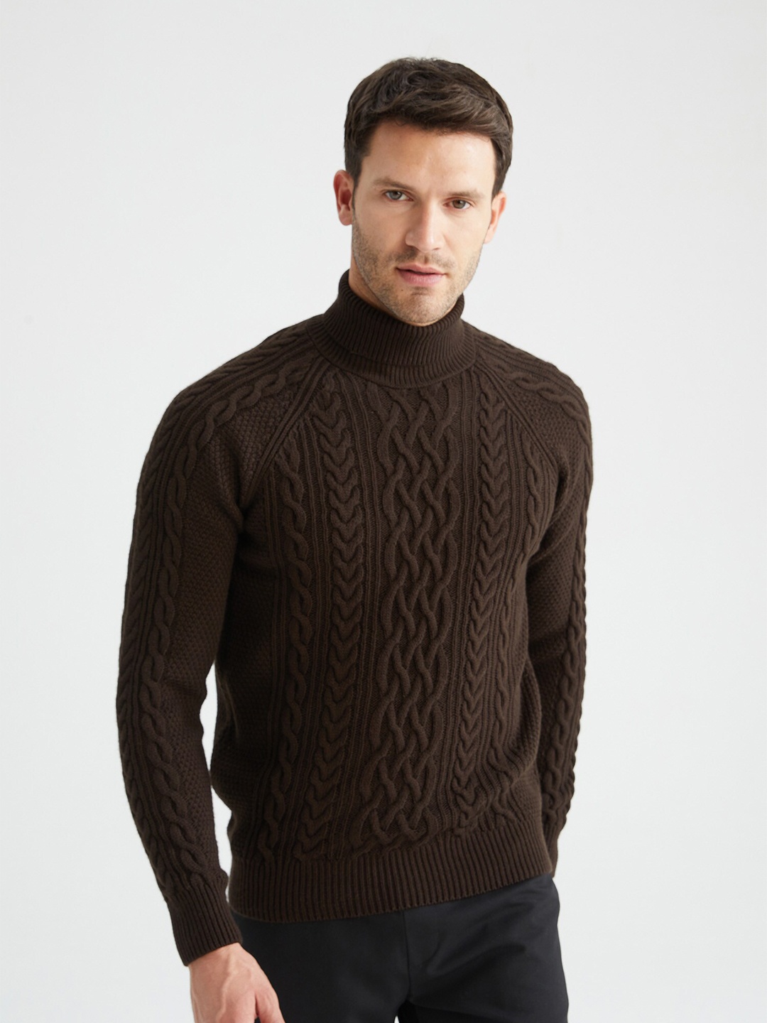 

DeFacto Men Brown Cable Knit Pullover