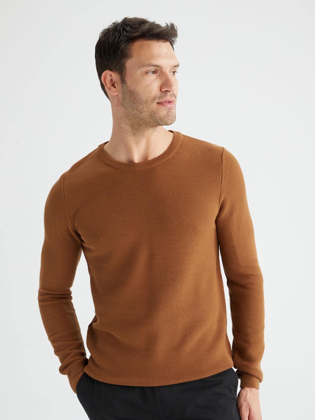 

DeFacto Men Brown Solid Pullover