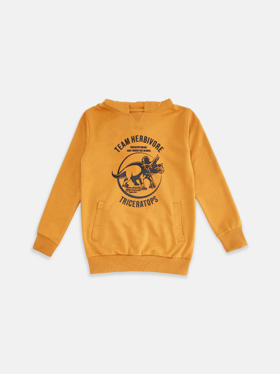 

Pantaloons Junior Boys Mustard Yellow Hooded Printed Sweatshirt