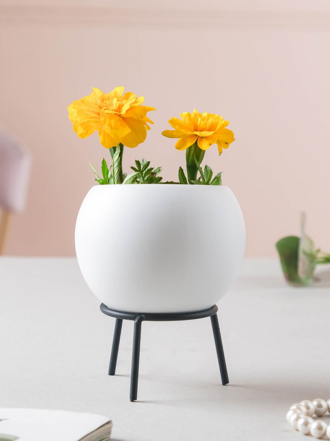 

Nestasia White Solid Ceramic Planter With Stand