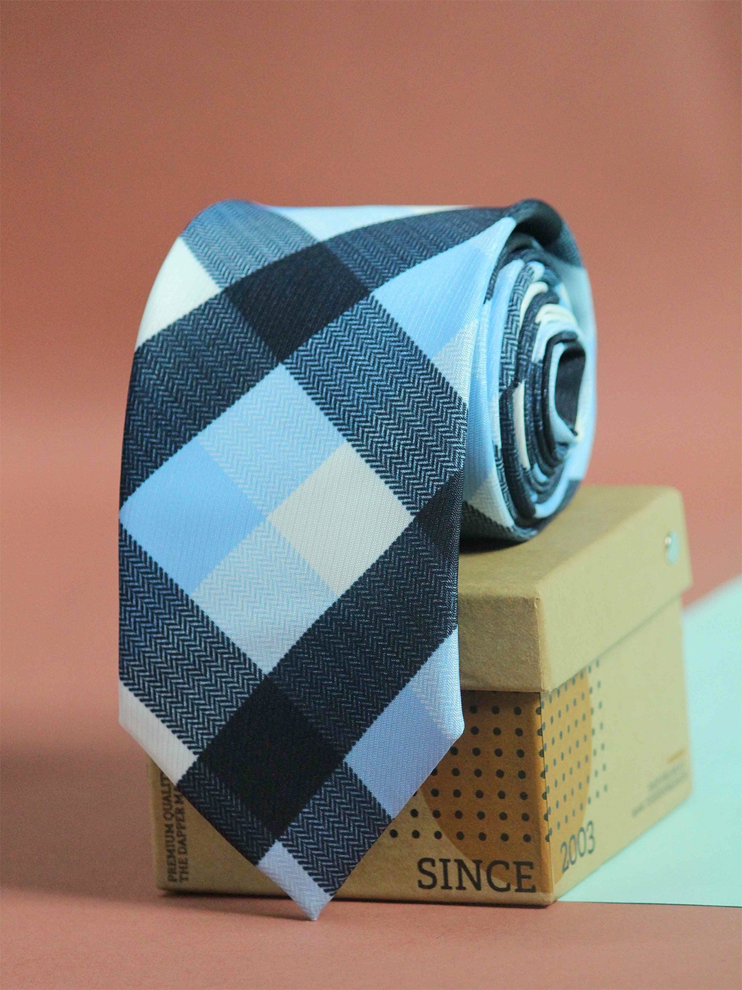 

Tossido Men Blue & White Checked Broad Tie