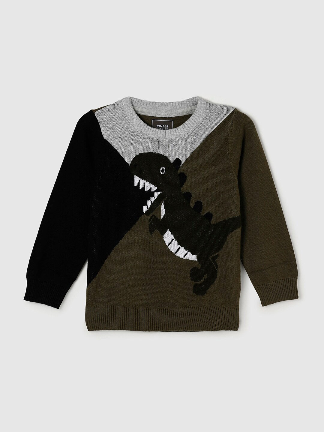 

max Boys Green & Black Colourblocked Pure Cotton Pullover