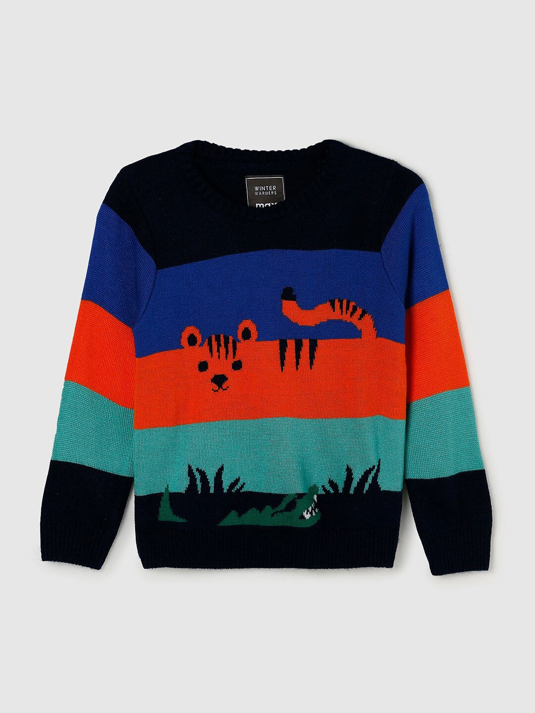

max Boys Black & Green Colourblocked Pullover