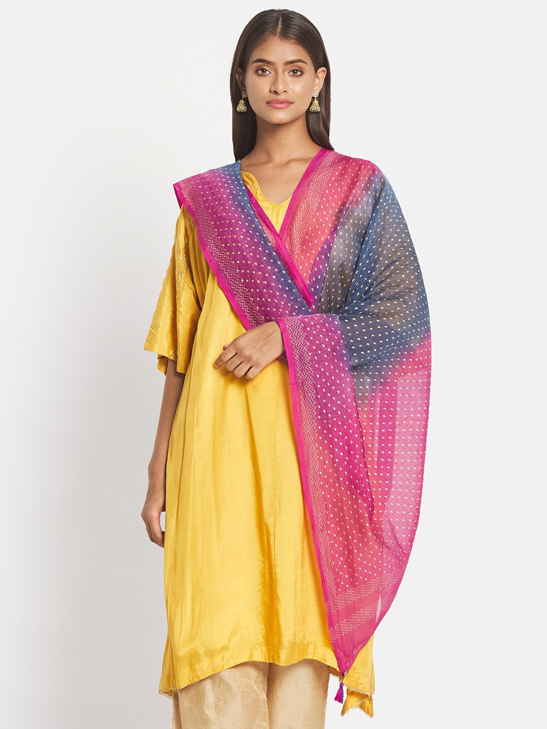 

Fabindia Blue & Pink Printed Cotton Silk Block Print Dupatta