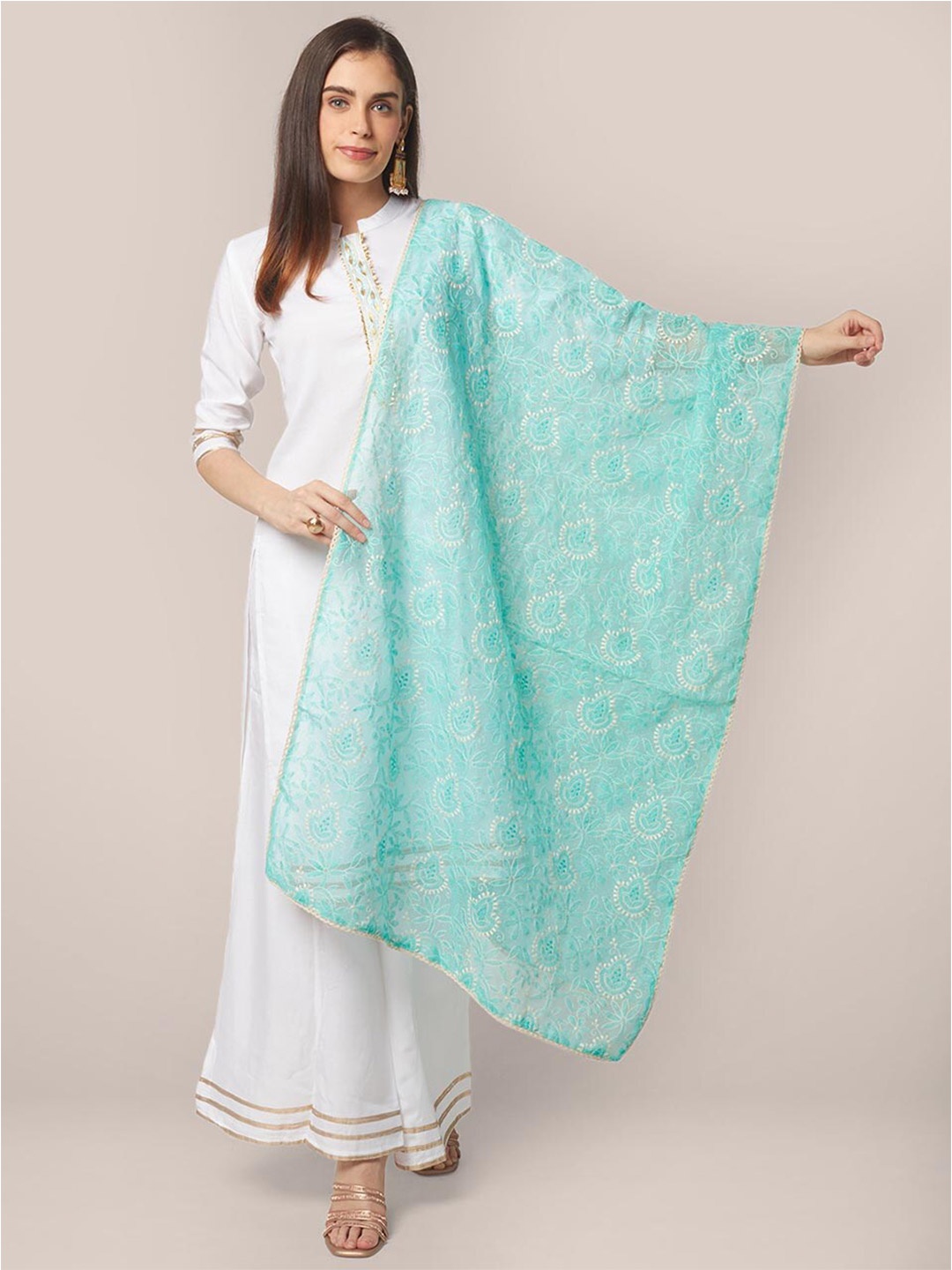 

Dupatta Bazaar Blue & Silver-Toned Embroidered Dupatta with Chikankari