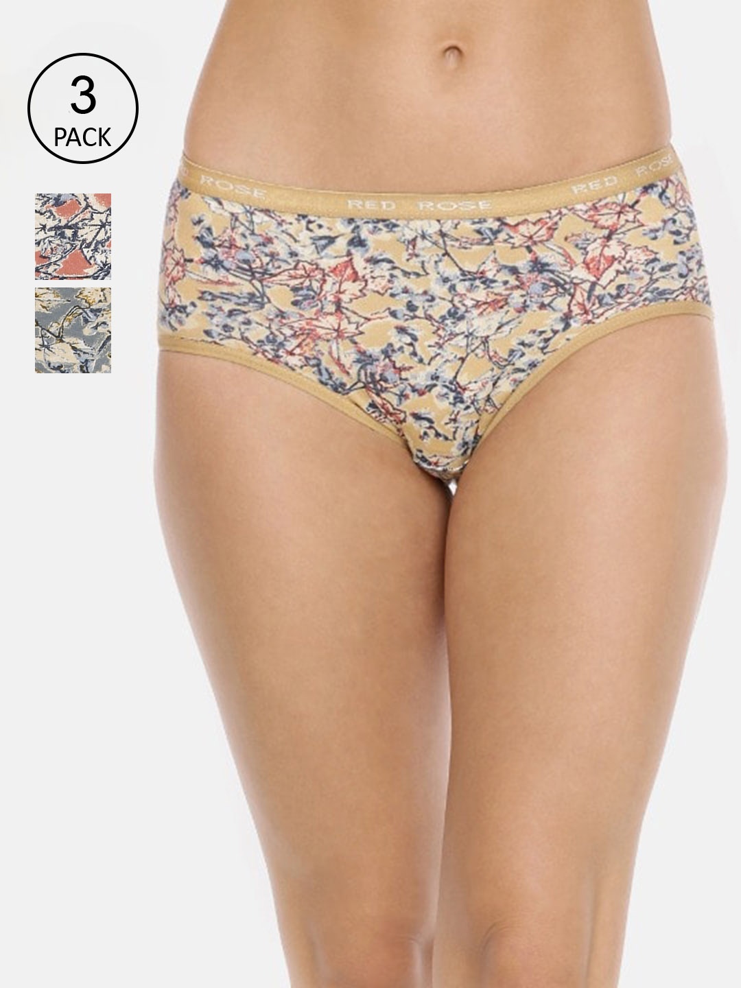 

RedRose Women Pack Of 3 Printed Hipster Briefs, Grey