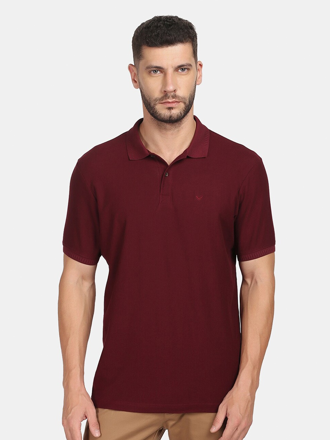

Blackberrys Men Maroon Solid Polo Collar Slim Fit T-shirt