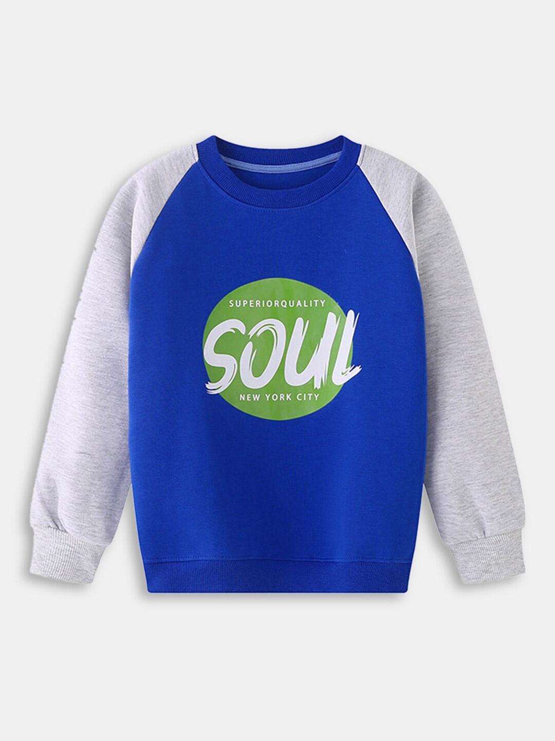 

Hopscotch Boys Blue Printed Sweatshirt