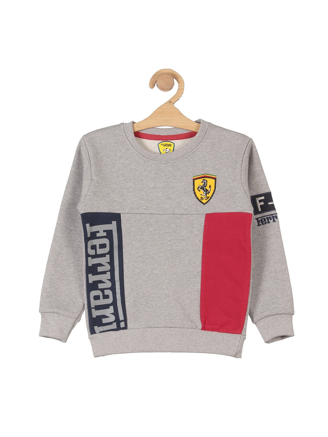 

Lil Lollipop Boys Grey Printed Sweatshirt