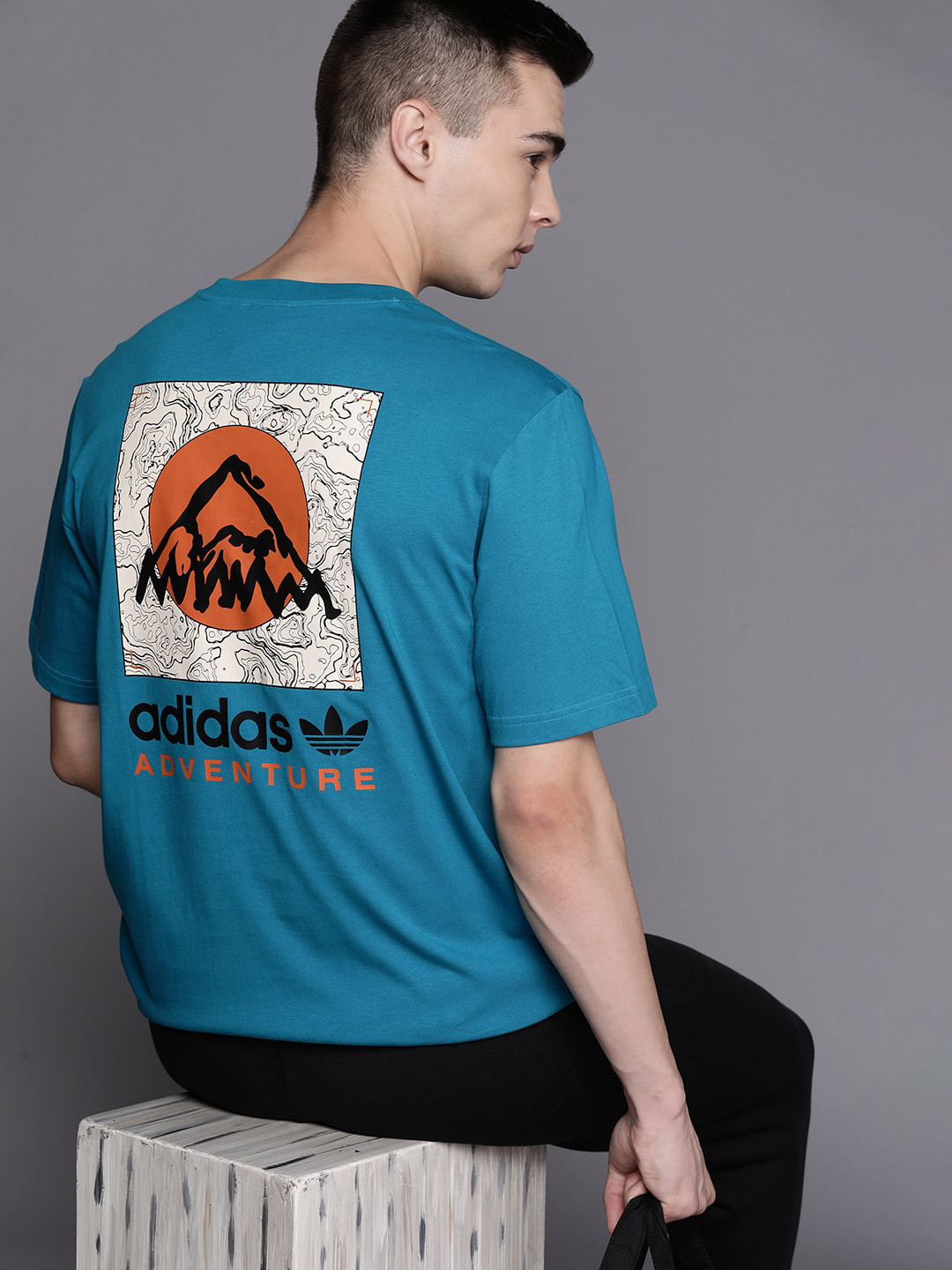 

ADIDAS Originals Sustainable Adventure Mountain Printed Back Pure Cotton Outdoor T-shirt, Turquoise blue