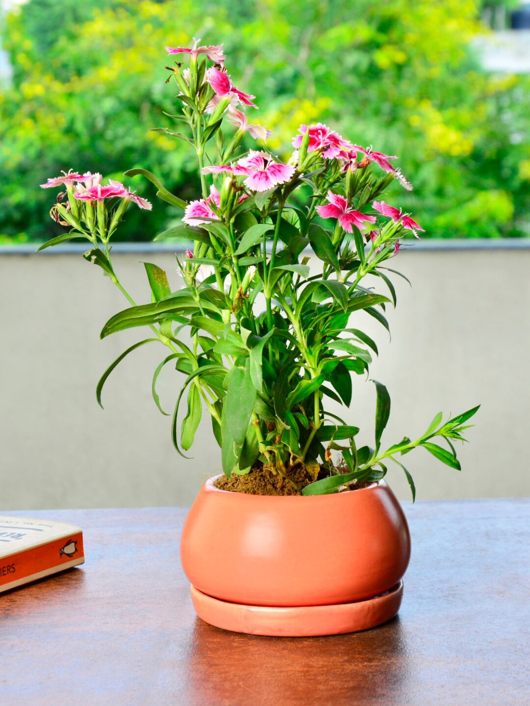 

StyleMyWay Pink Solid Ceramic Planters With Tray