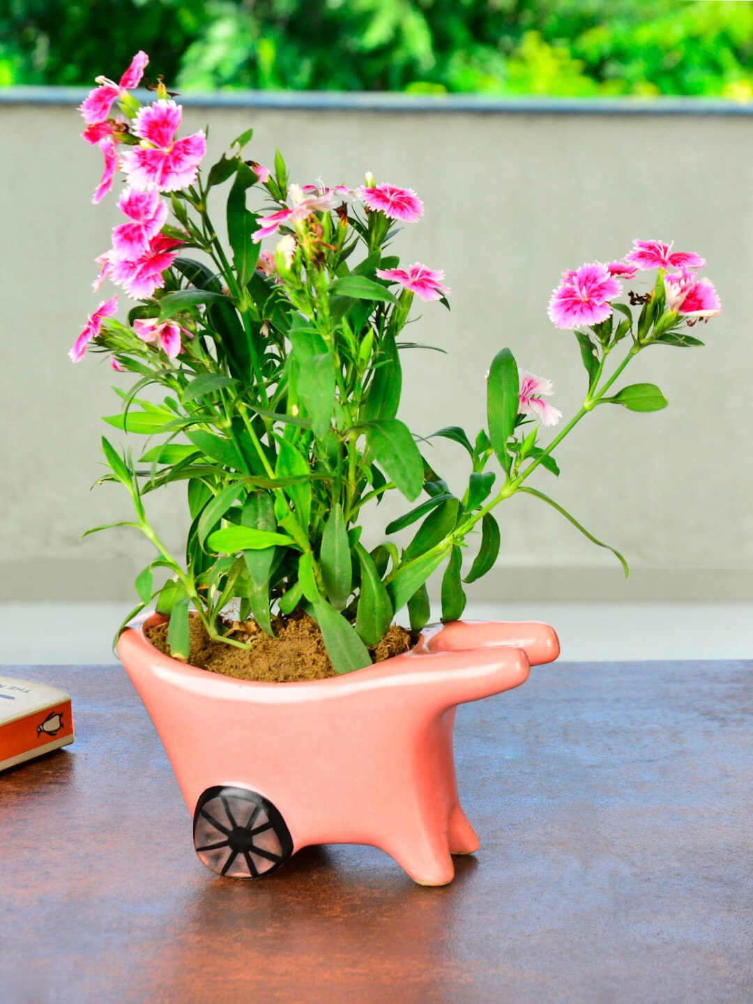 

StyleMyWay Pink Solid Pushing Cart Ceramic Planters