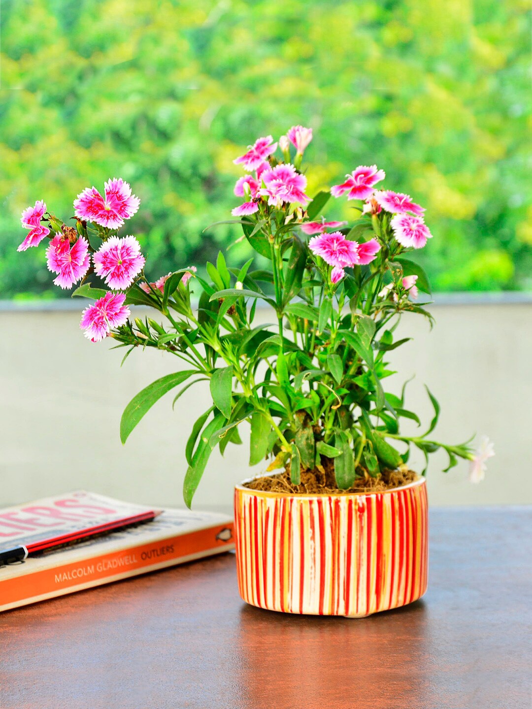 

StyleMyWay Orange Striped Ceramic Round Planter