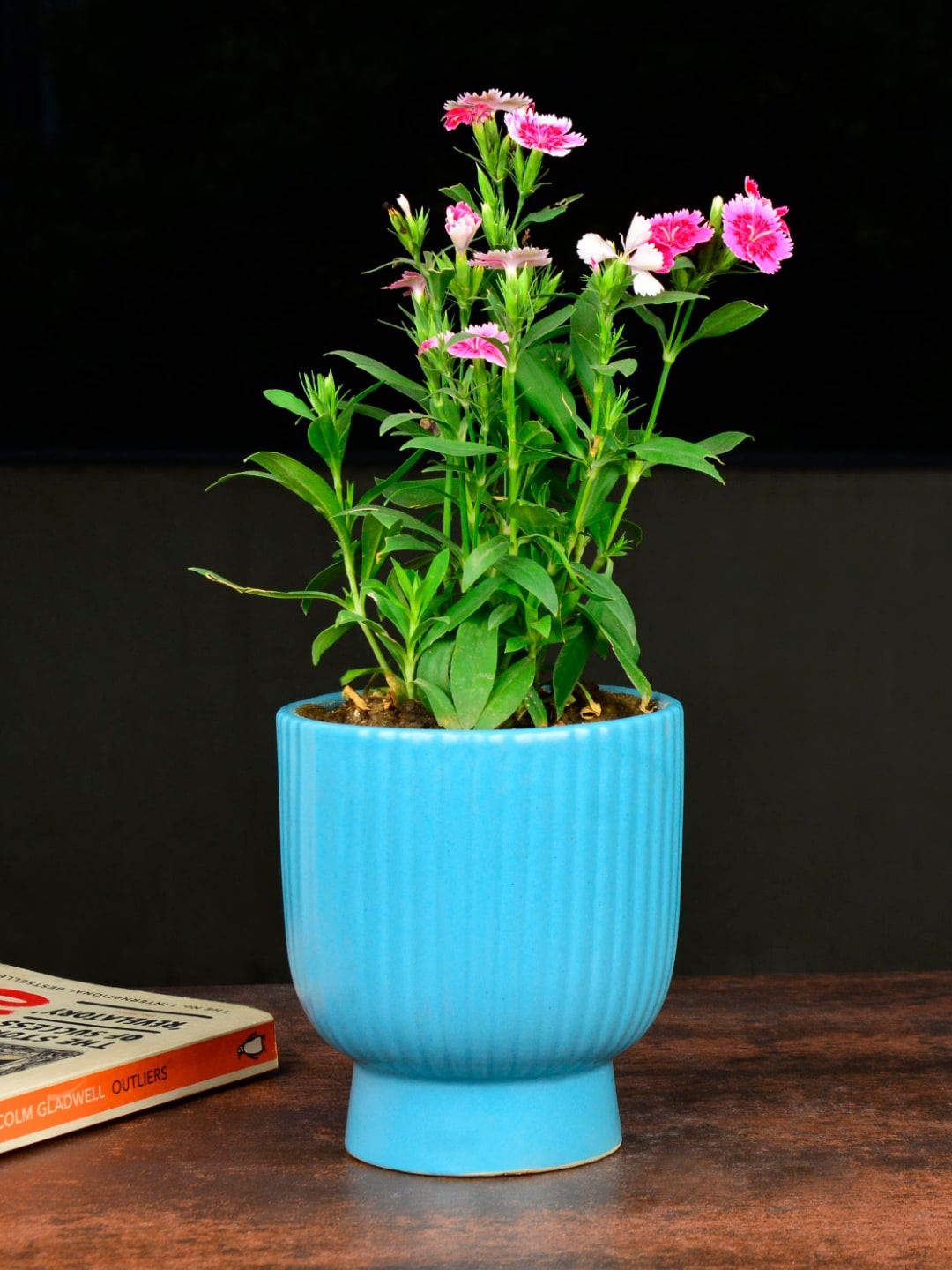 

StyleMyWay Blue Striped Ceramic Planters