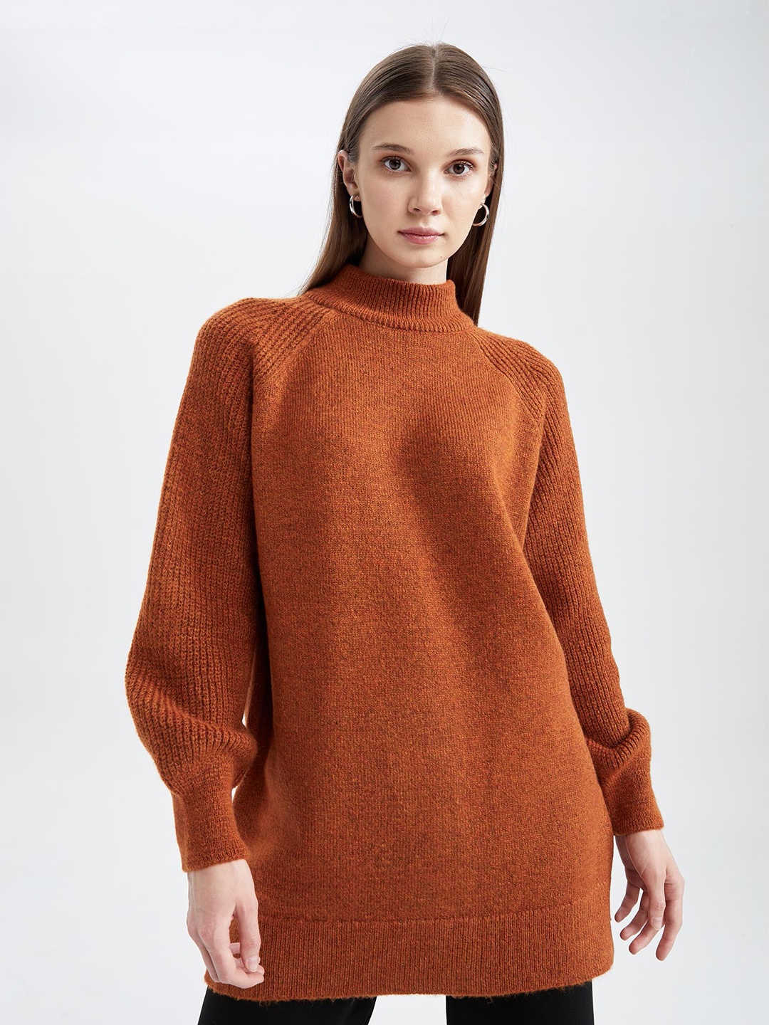 

DeFacto Women Rust Longline Turtle Neck Pullover Sweater