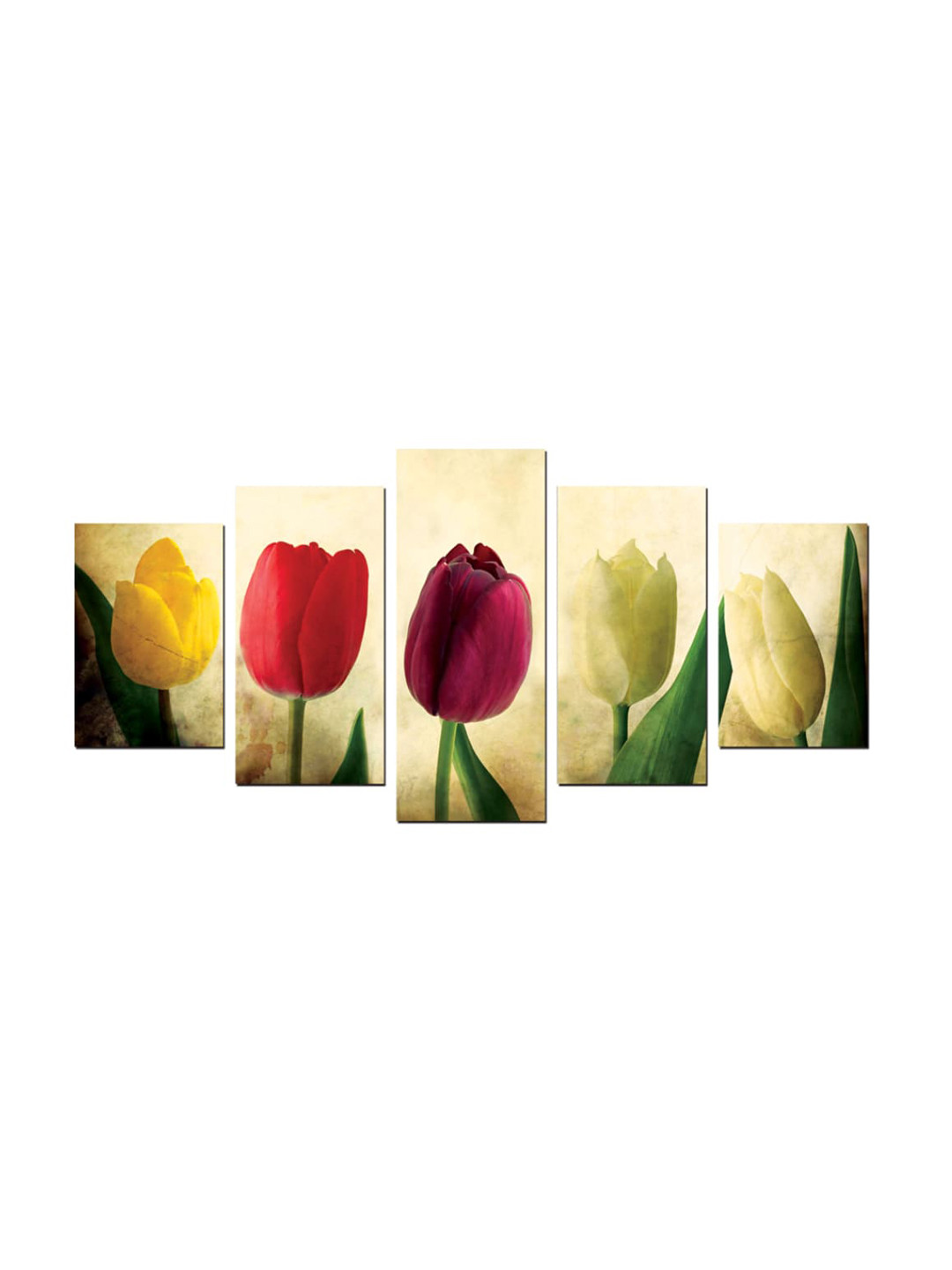

Gallery99 Set Of 5 Colourful Tulip Pinewood High Quality Painting Wall Art, White