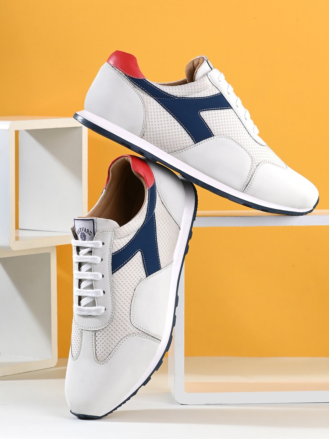 

Harvard Men White Colourblocked Sneakers