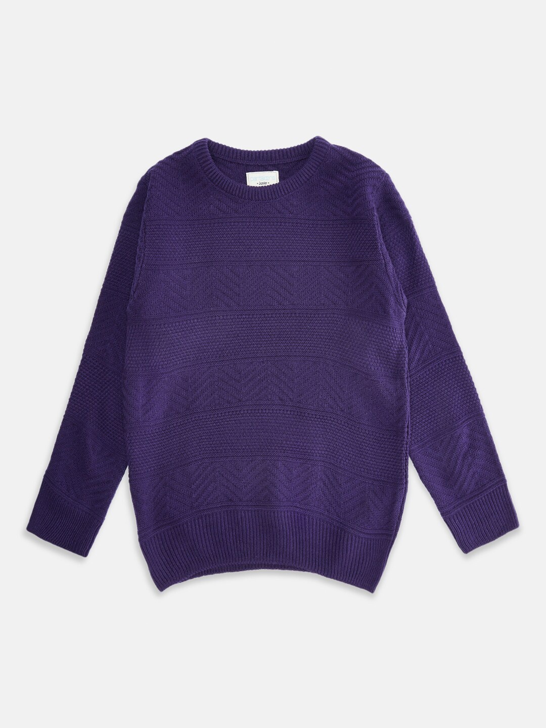 

Pantaloons Junior Boys Blue Pullover