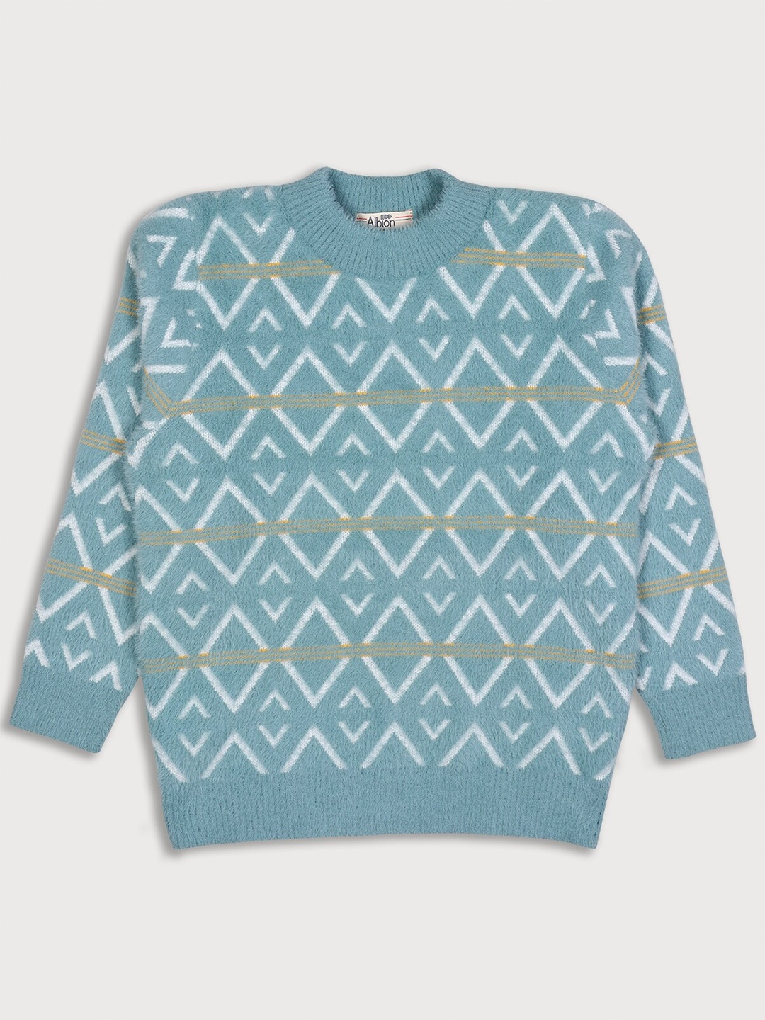 

Albion Boys Green Printed Sweatshirt