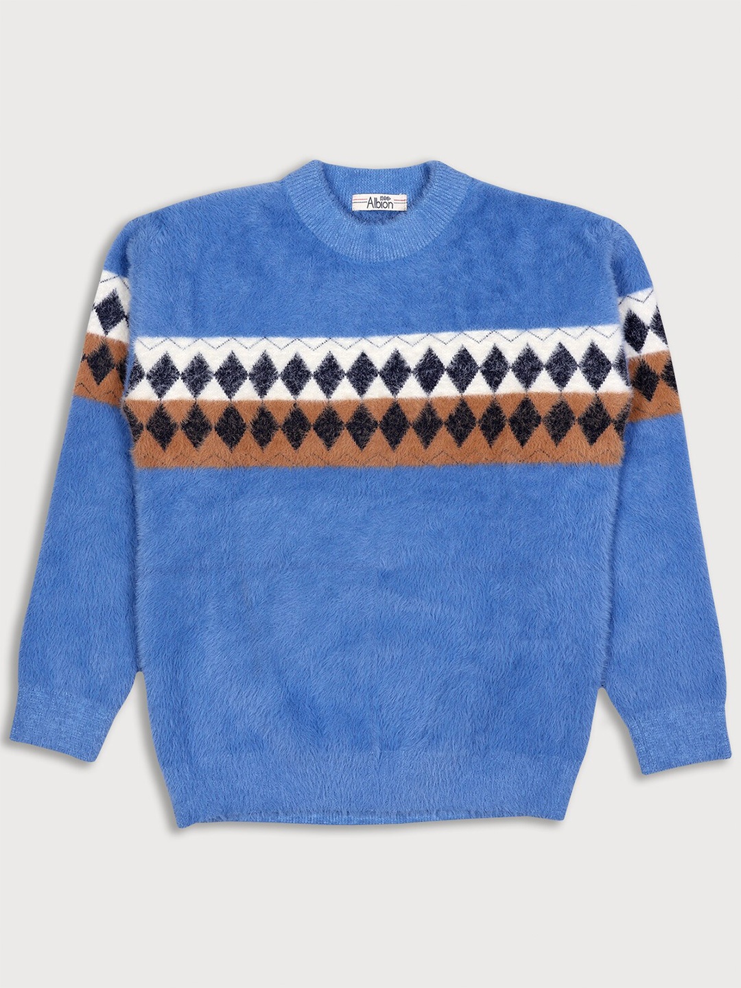 

Albion Boys Blue Geometric Printed Round Neck Sweatshirt