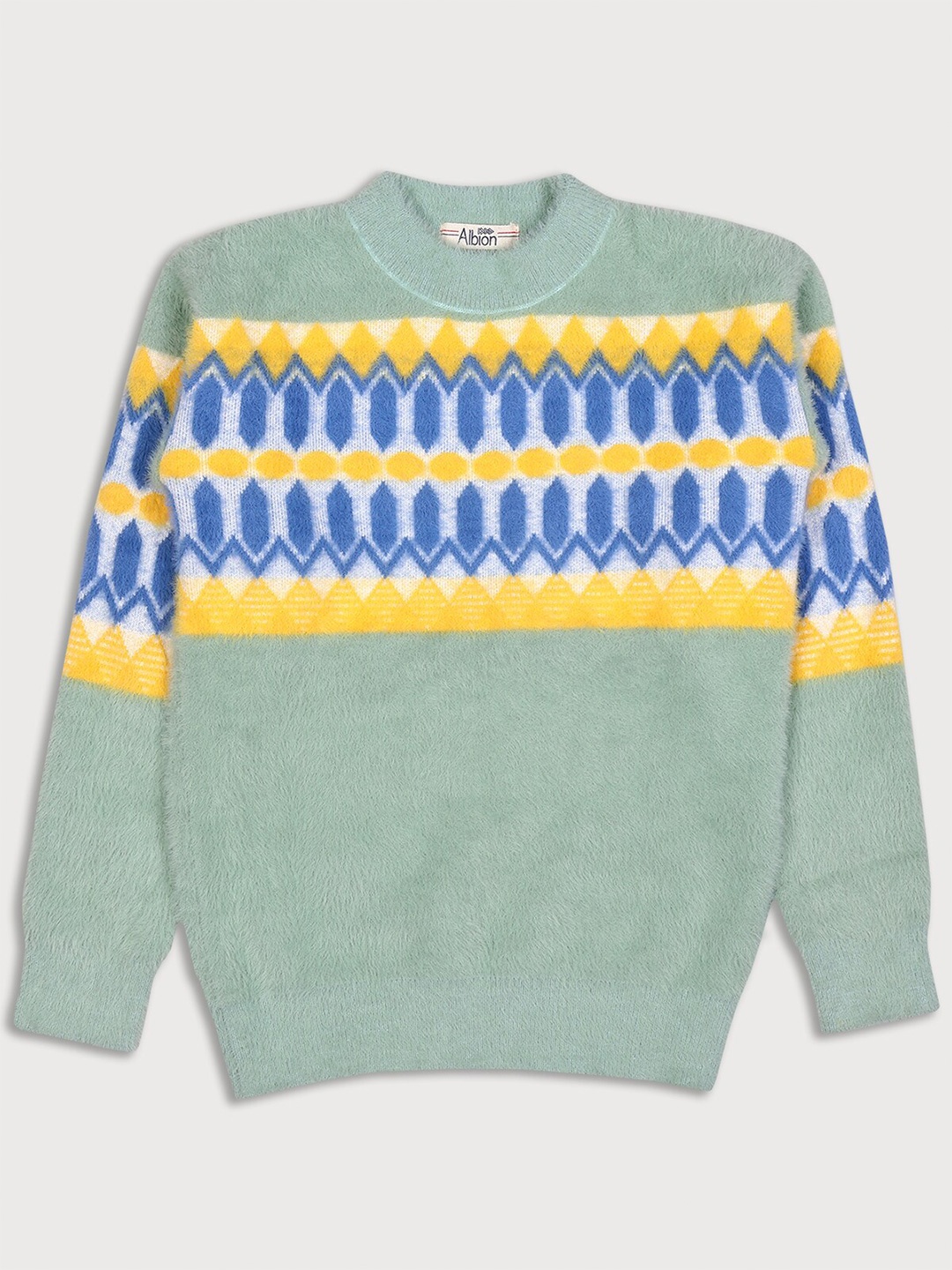 

Albion Boys Sea Green & Yellow Printed Sweatshirt