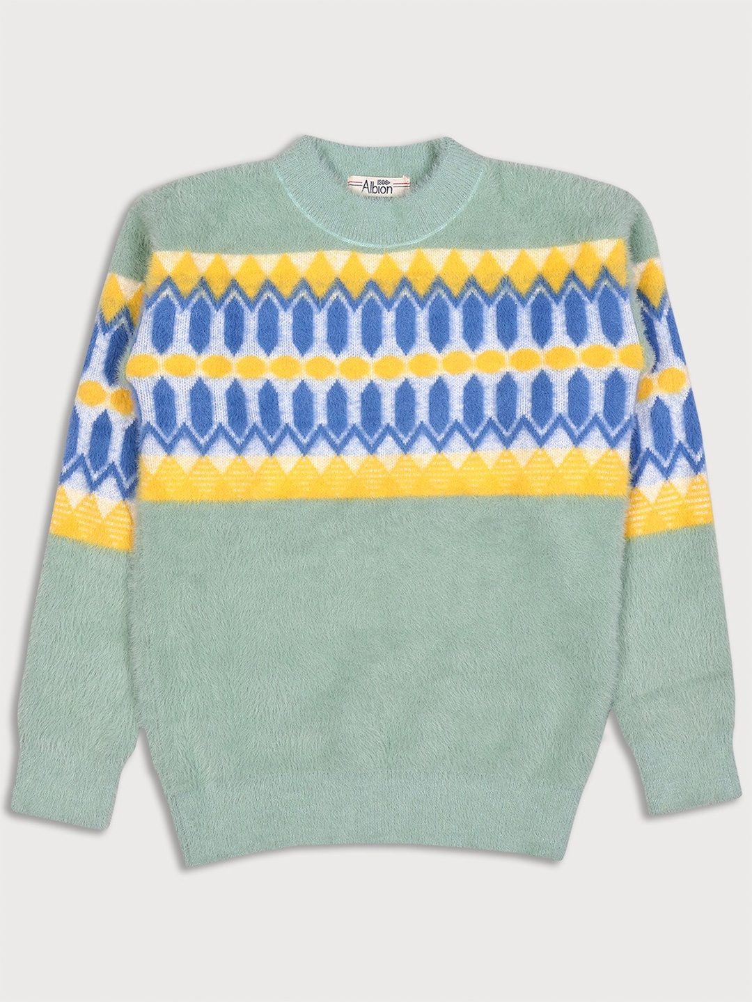 

Albion Boys Sea Green & Yellow Printed Sweatshirt