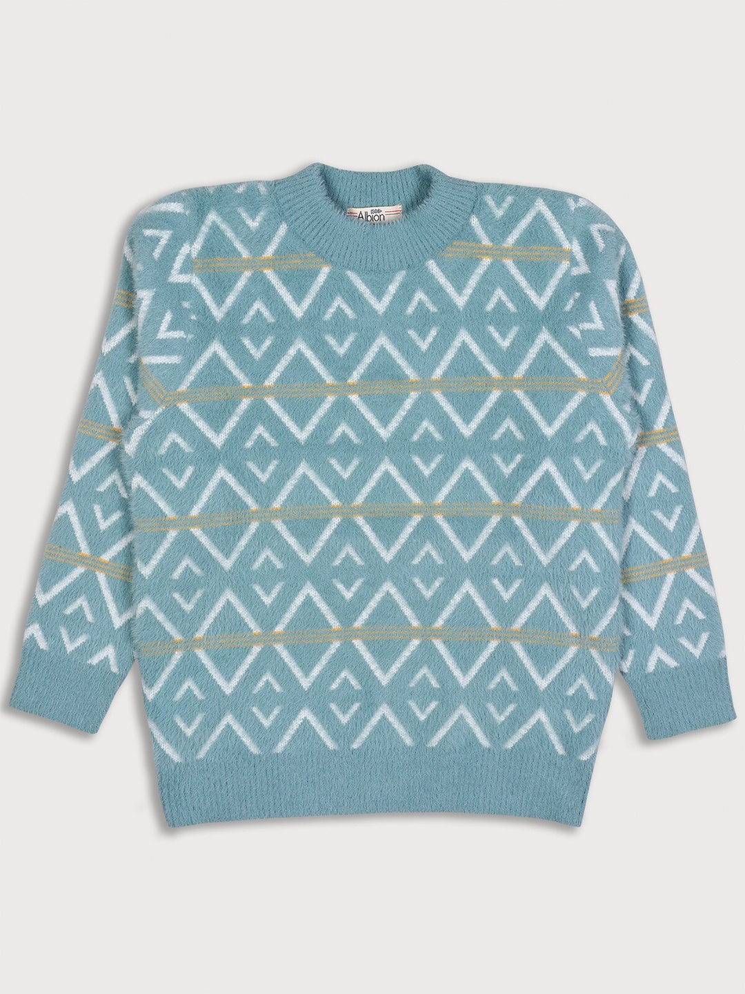 

Albion Boys Teal Green & White Printed Sweatshirt