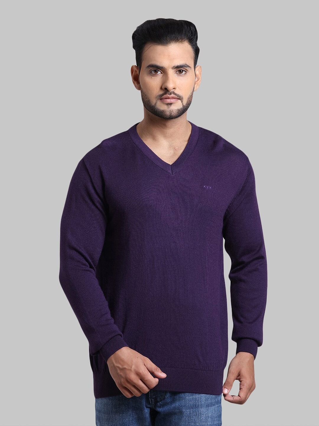 

ColorPlus Men Purple Pullover