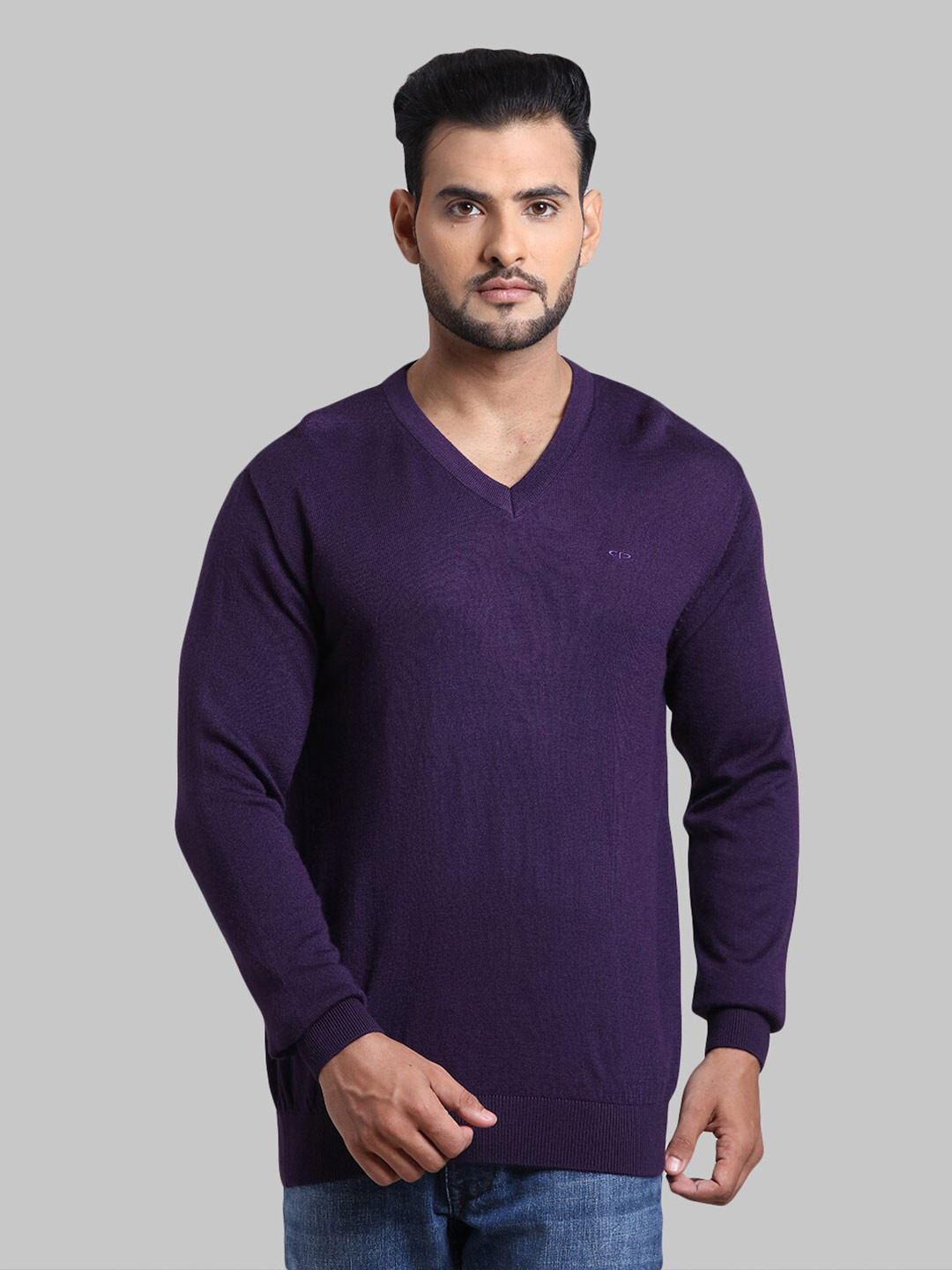

ColorPlus Men Purple Pullover