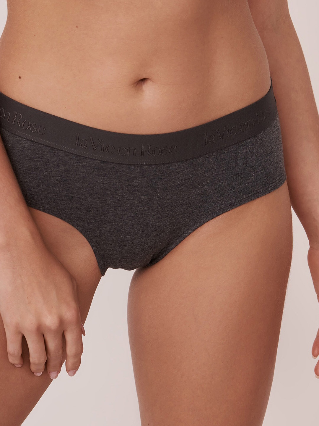 

La Vie en Rose Women Grey Solid Hipster Briefs